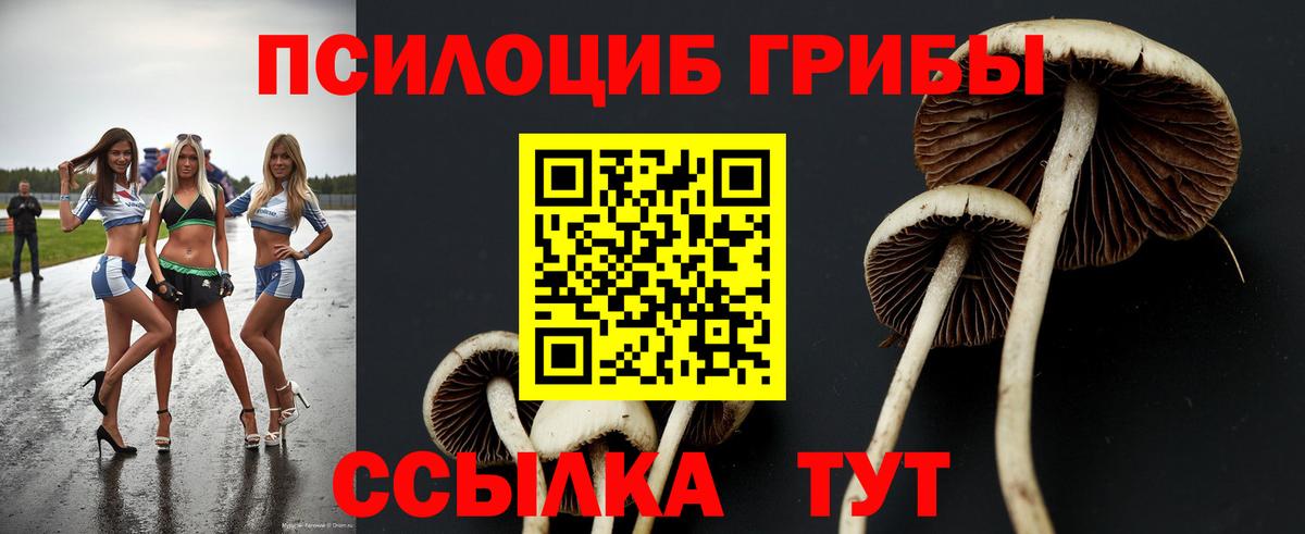 Светлоград  Галлюциногенные грибы мицелий  Вход с VPN 