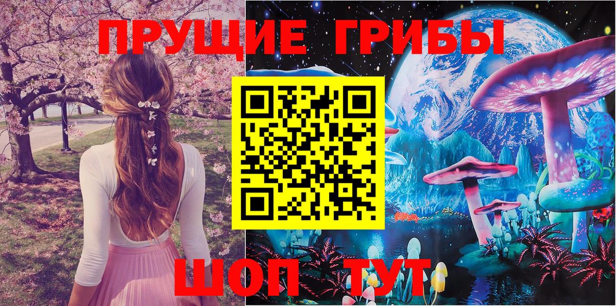 Галлюциногенные грибы прущие грибы Светлоград