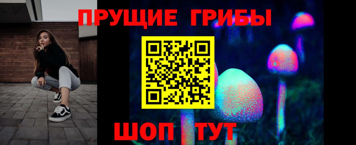 Псилоцибиновые грибы Cubensis  Светлоград 